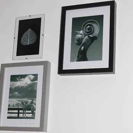 公寓式酒店 Oina Studio *